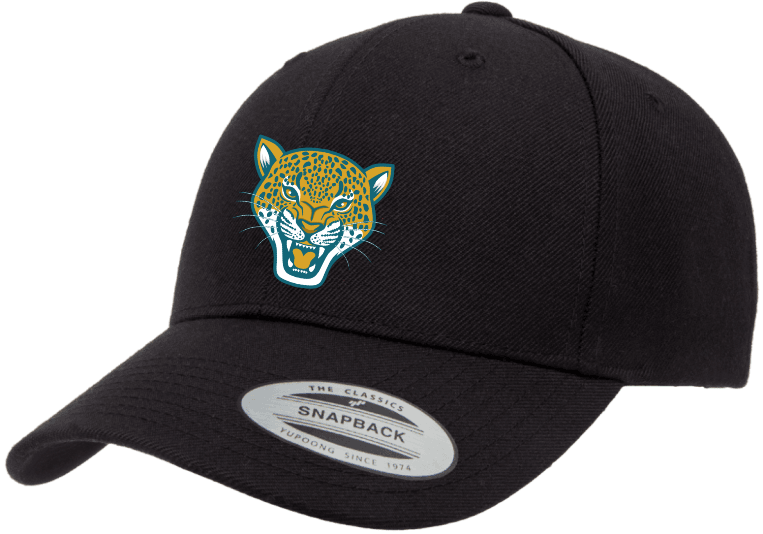 JL Jordan Snapback hat