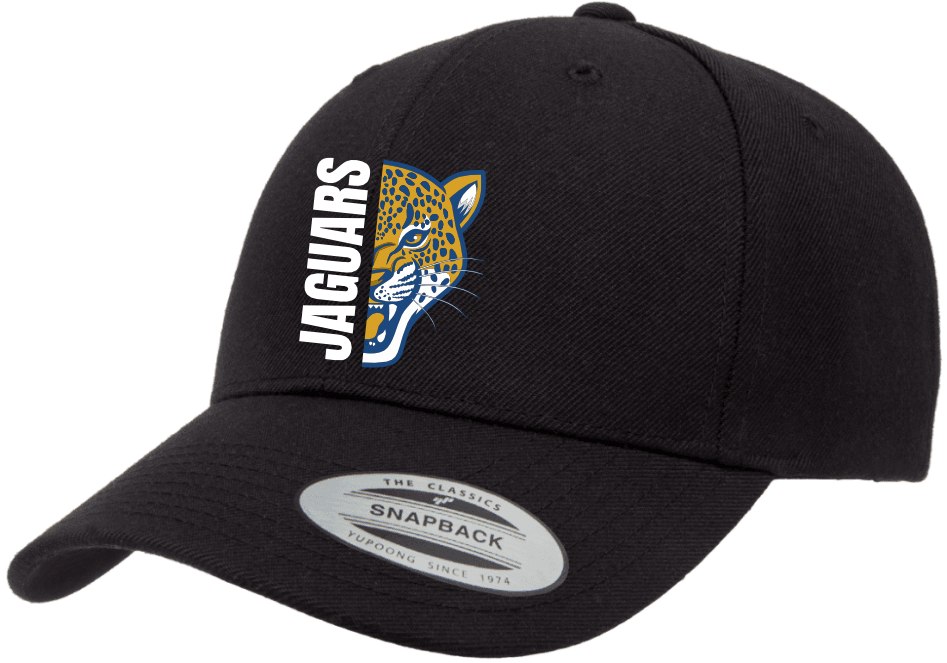JL Jordan Snapback hat