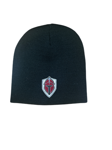 Titans Beanie