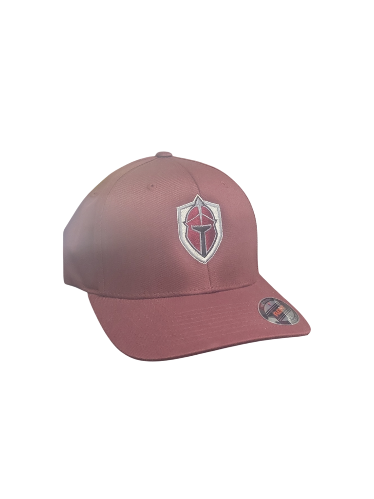Titans Flexfit Adjustable Hat