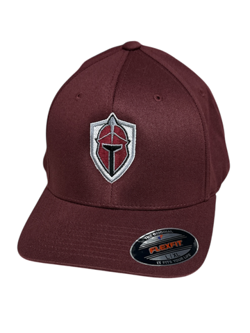 Titans Flexfit Adjustable Hat