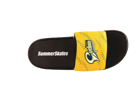Cyclones SummerSkates