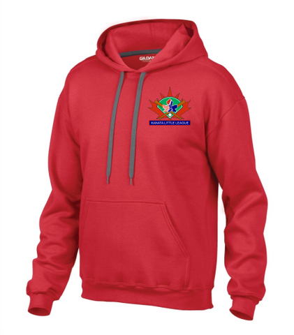 Cubs Embroidered Hoodie