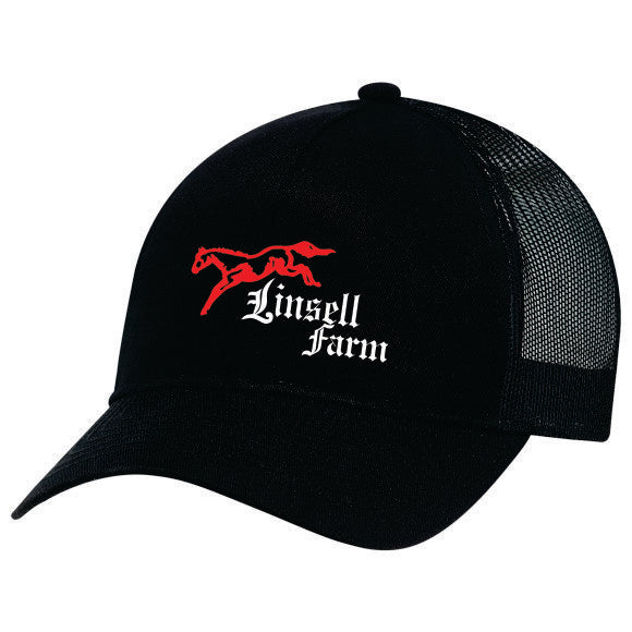 Linsell pony-tail Cap